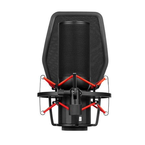 Sr-bv4 | Microfono condensatore a diaframma grande