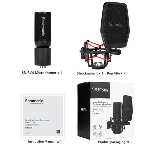 Sr-bv4 | Microfono condensatore a diaframma grande