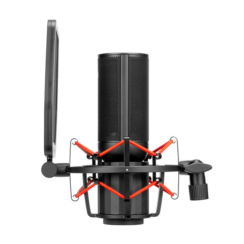 Sr-bv4 | Microfono condensatore a diaframma grande